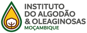 algodao